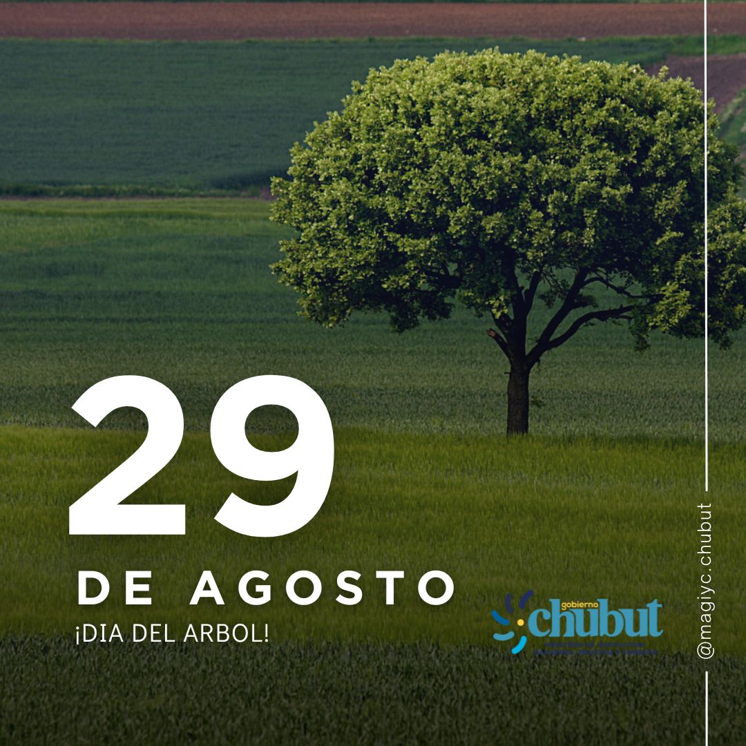 produccioncht's tweet photo. #diadelarbol 🌳
Desde los viveros del @MAGIyCchubut  promovemos esta fecha para concientizar sobre el cuidado y la protección de las superficies #arboladas https://t.co/8sVP1TUfHD