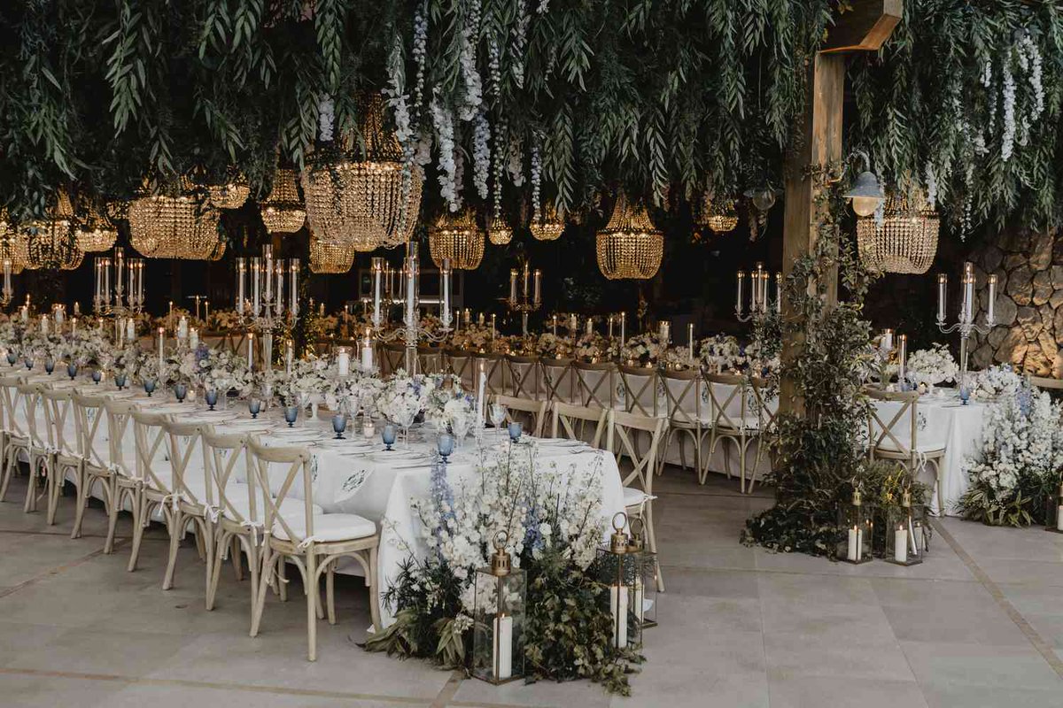 AasmaCandy55487's tweet photo. Outstanding Outdoor Event Venues in Lahore 2023 https://t.co/LsuufSnN8t… #オーストラリア #ミエちゃん #ステアラ #どらほー #村正双騎 #まりほー #さんま御殿 #バナナサンド #ノイジー #DO_DeserveBetter #SM_경수에게_무관심_그 #ザキさん #ミエセス #涌井さん #神宮寺勇太_Instagram https://t.co/n9YBy8zraQ