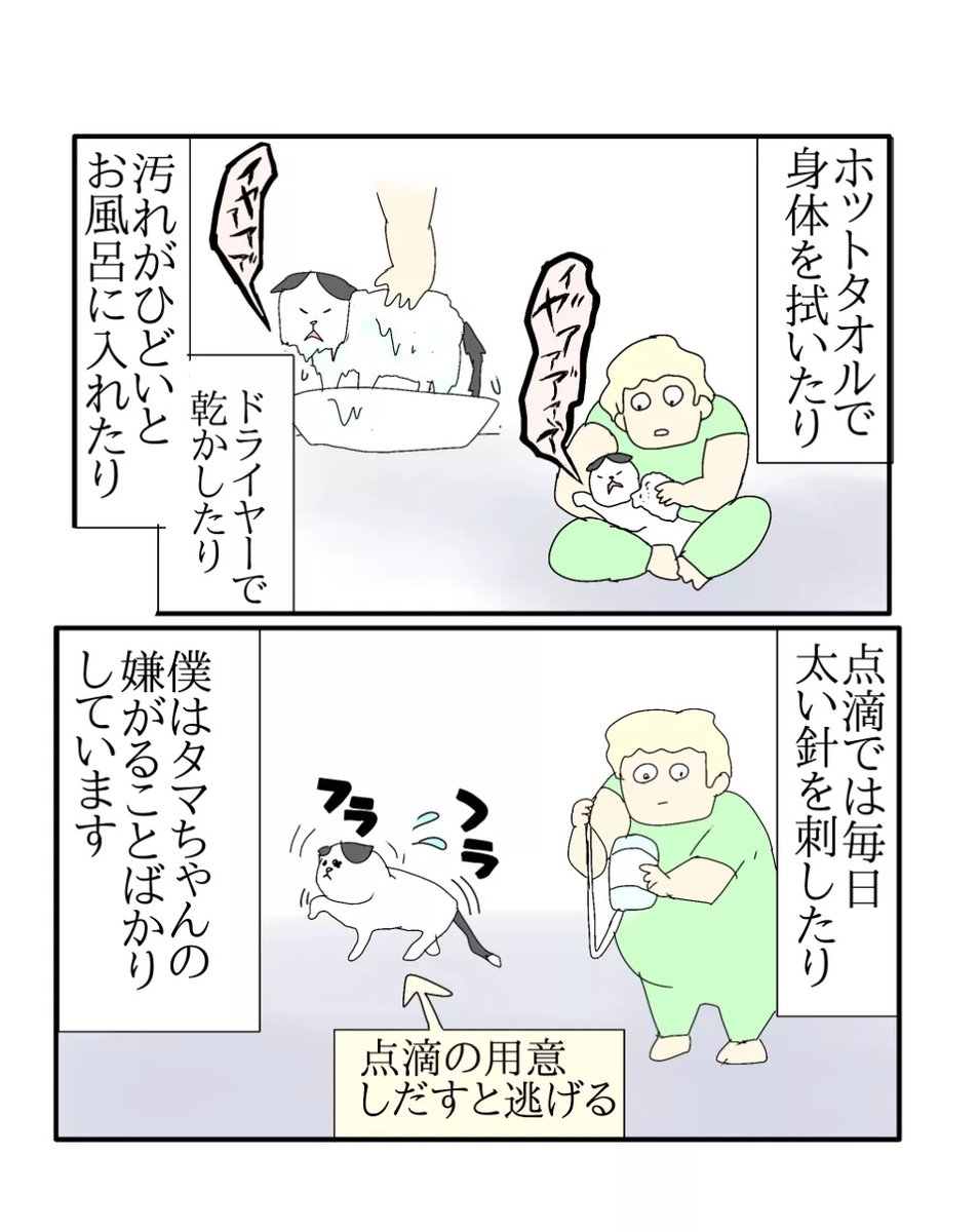 ajimaruzenzai's tweet photo. タマちゃんは濡れるの嫌です
最近のタマちゃんの話
（1/2） https://t.co/3eo8V0dAN0