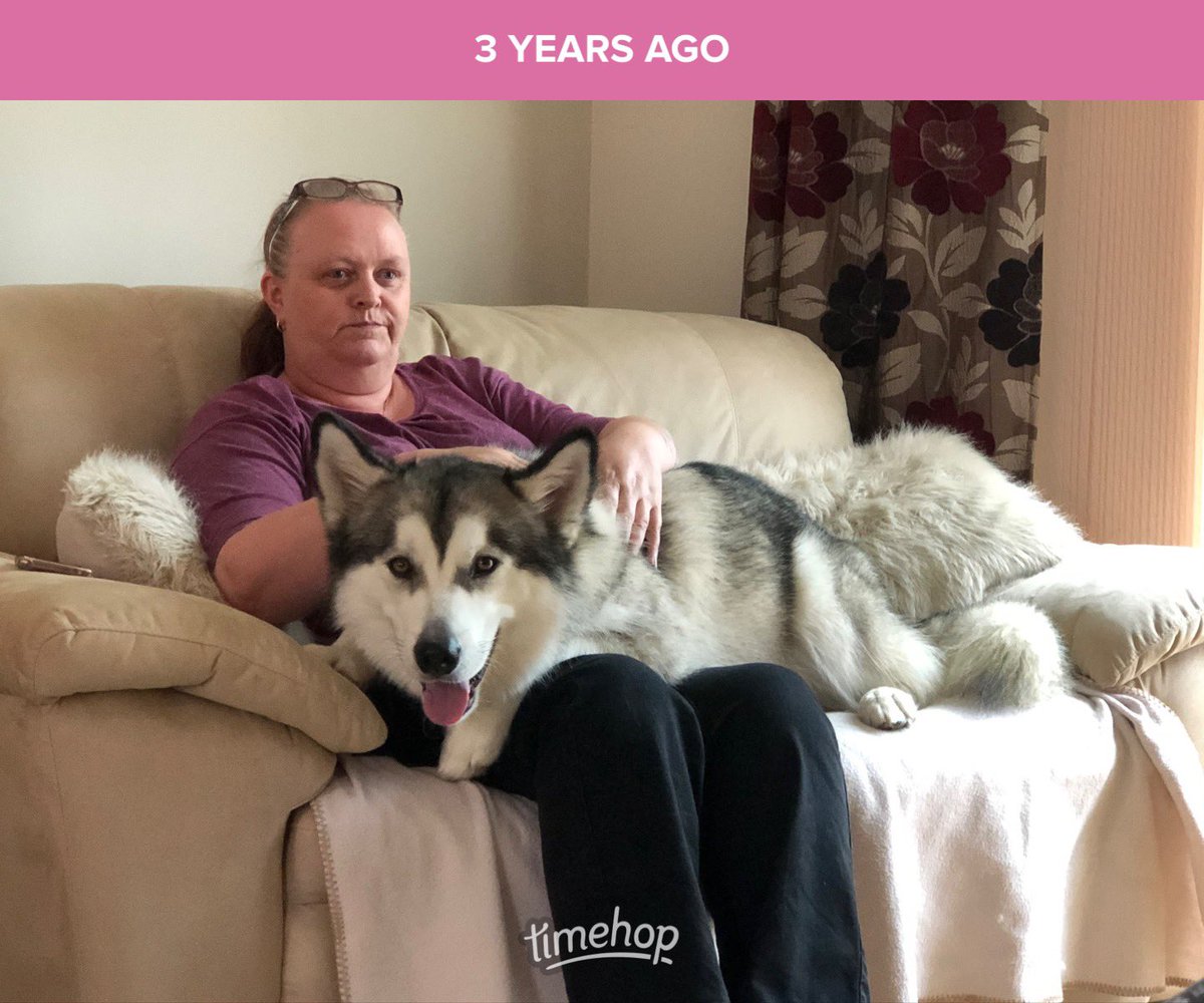 Helen Clark tweet media