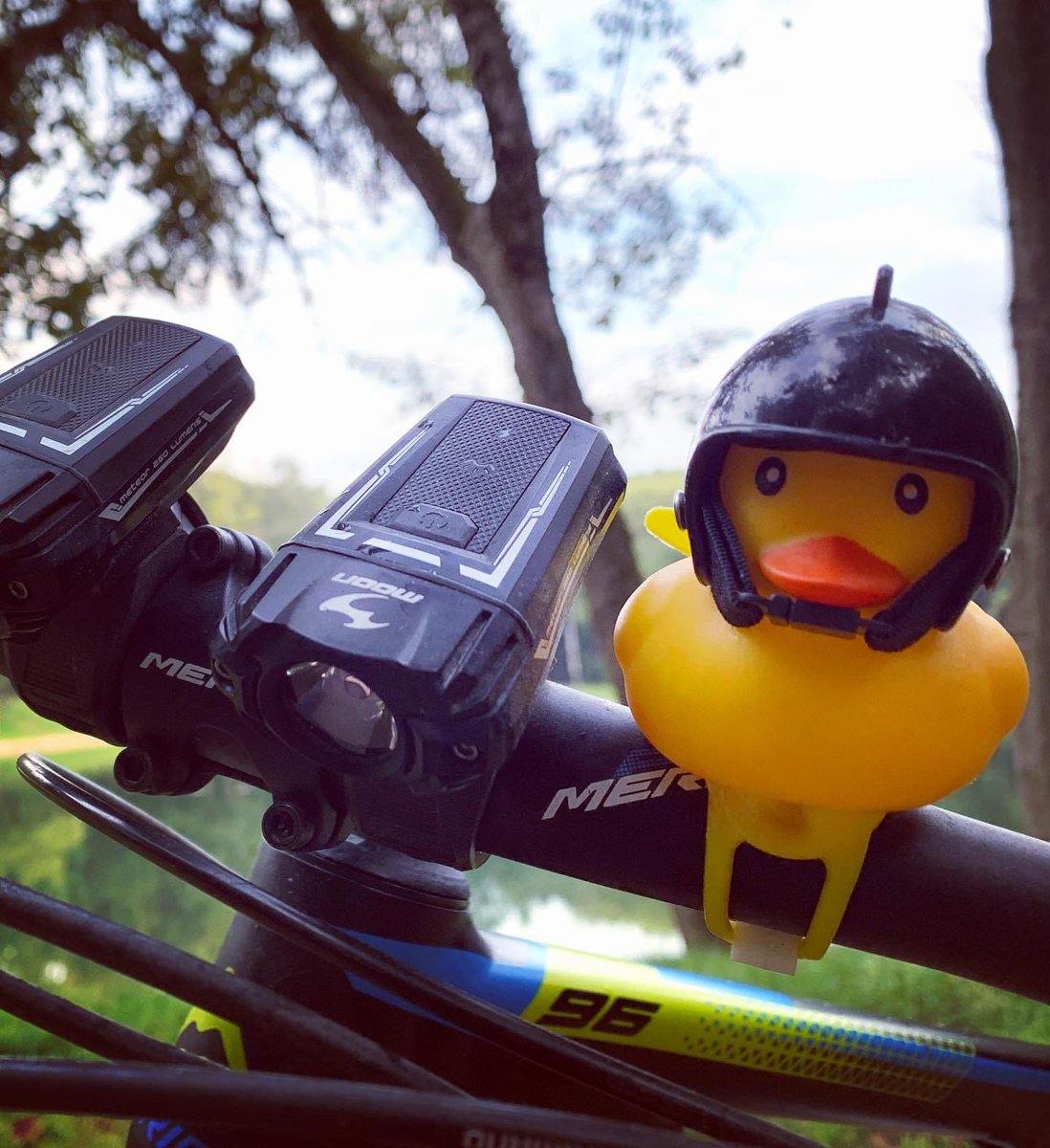 olegsitnikov's tweet photo. Утяй🦆🐤#summer2023 #sitnikoff https://t.co/J5OgV3P0QG