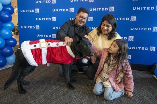 1 year ago today, this little🐶furball was left at our @united SFO doorstep. Our team never gave up, saw this to a good outcome in a caring🏡with a UA pilot, landed our pup Polaris celebrity status, and furever a place in our ❤ @auggiie69 @DJKinzelman @MikeHannaUAL @Tobyatunited