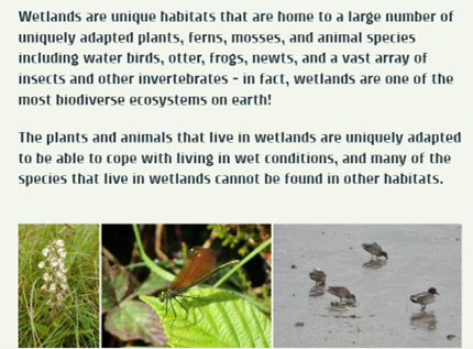 Wetland Surveys Ireland are undertaking a survey of selected wetlands of ecological interest for Wexford County Council & will be contacting landowners over the coming weeks so that the surveys can be facilitated. For further information please contact the Heritage Officer.