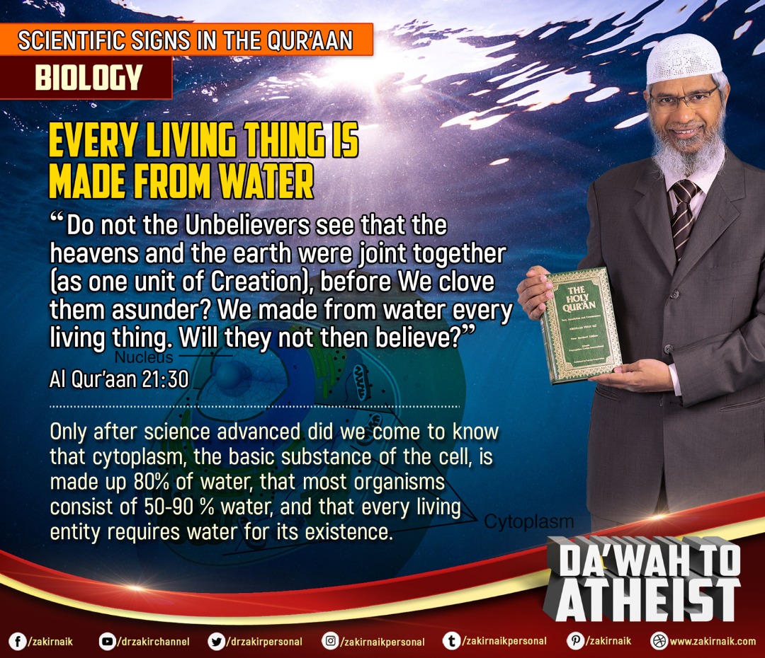 Every Living thing is made from Water