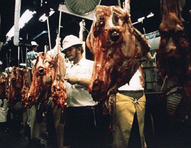 TheTrueCompton's tweet image. When you eat the flesh ("meat") of another sentient, feeling being, you are the reason they are subjected to pain, suffering and are murdered.

We have the ability to live without doing any of this.

howdoigovegan.com

#meat #change #vegan #plantbased