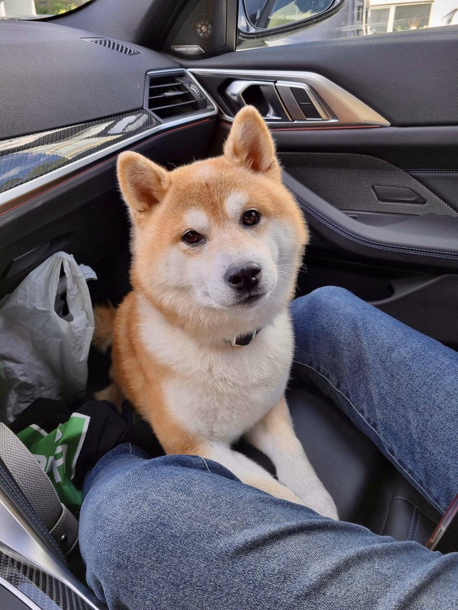 MissMikkaa tweet media