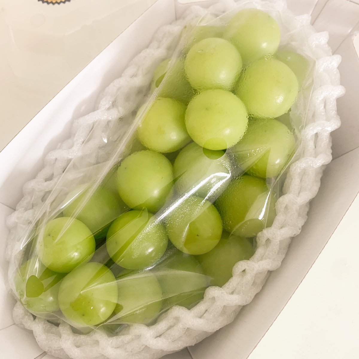 DaddyDontknowth's tweet photo. วงการที่เข้าแล้วออกไม่ได้ คือวงการ องุ่นไซมัสคัส 🍇 https://t.co/1QgC5gYgqR