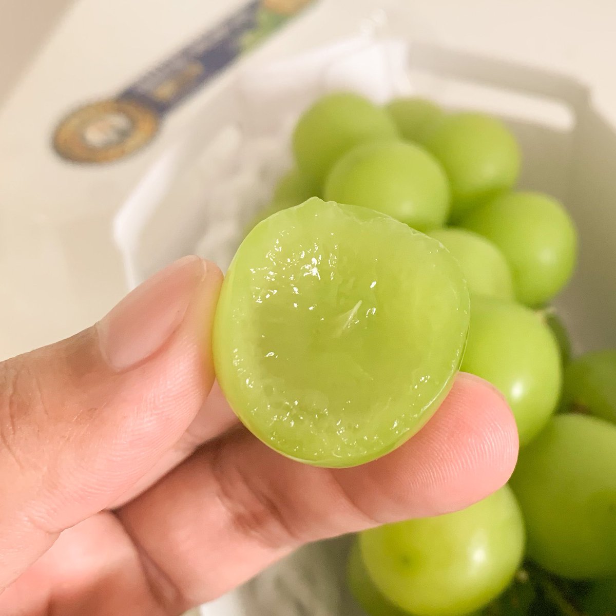 DaddyDontknowth's tweet photo. วงการที่เข้าแล้วออกไม่ได้ คือวงการ องุ่นไซมัสคัส 🍇 https://t.co/1QgC5gYgqR