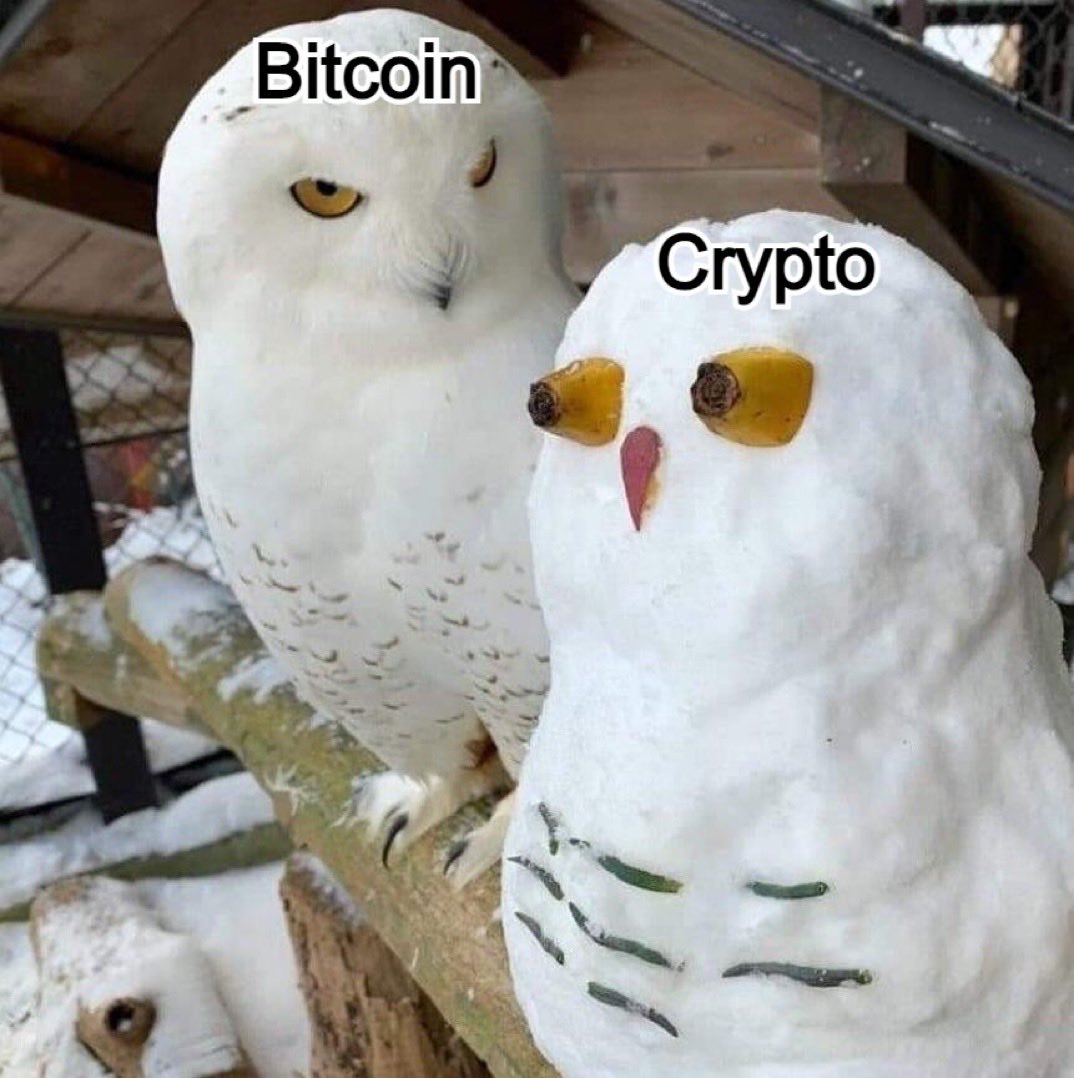 alexstanczyk's tweet photo. @NicoBartes @enur72 @coryswan Bitcoin not crypto. https://t.co/CZfO2paUCc