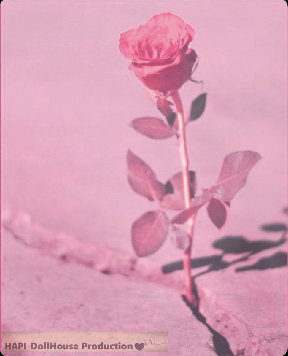 Nafeesah_Hope's tweet photo. #Pink #Punk #Protectblackart #Hapidollhouseproduction #Connecticut #Soguccc #Forward https://t.co/emwJ19Y6yD