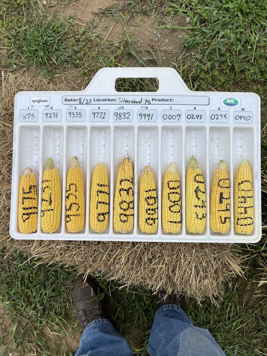 John Shepherd tweet media