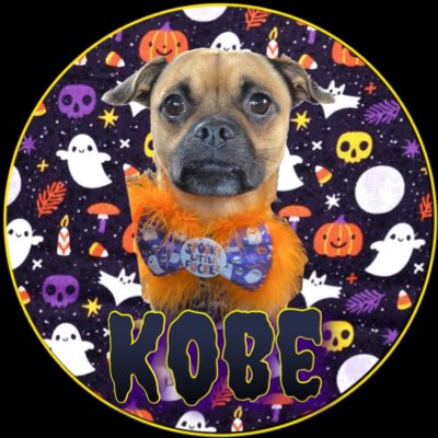 kobethejug's tweet photo. #NewProfilePic https://t.co/6uraIBdqgj