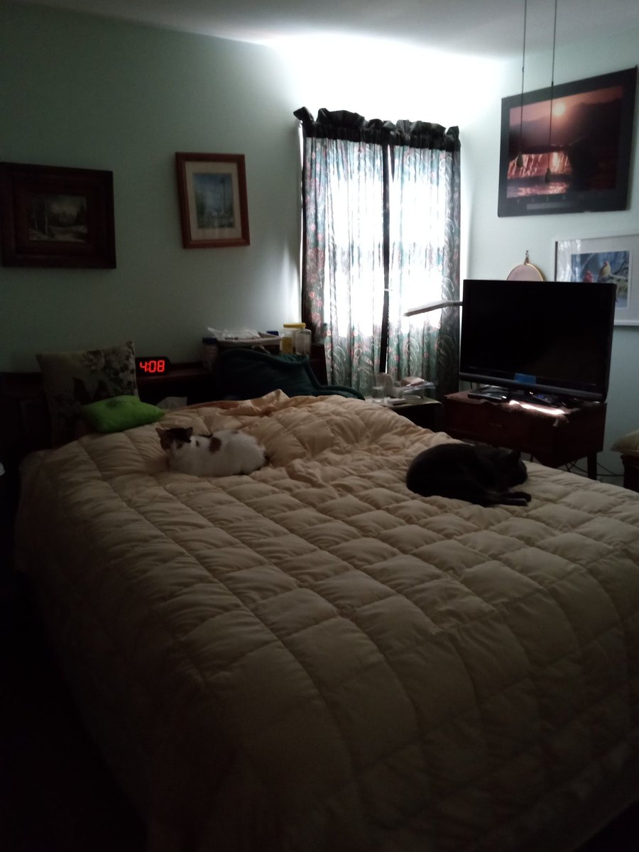 Klunk🐈 tweet media