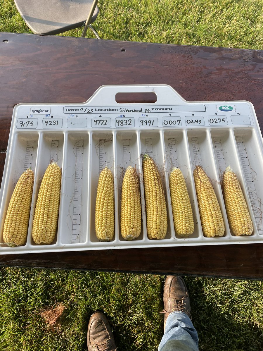 John Shepherd tweet media