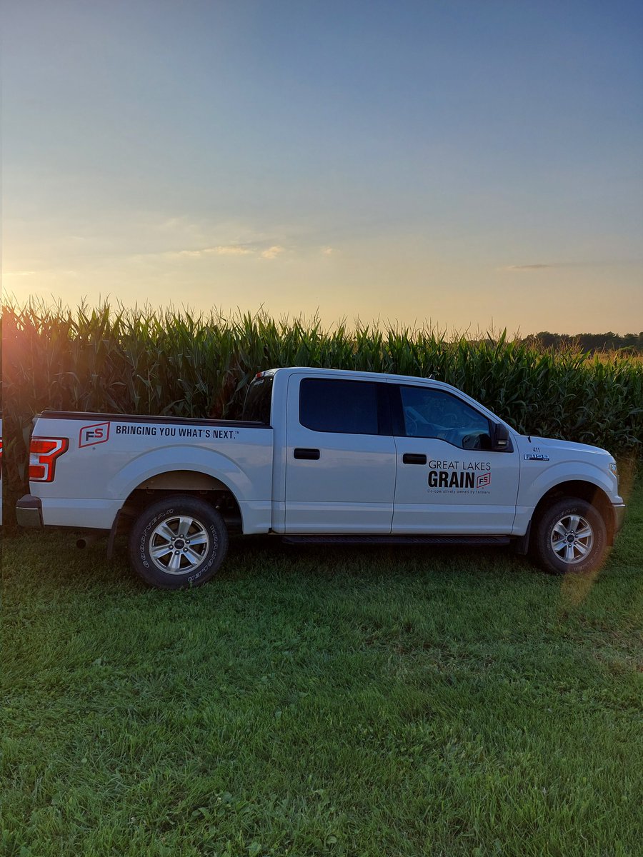 An early start to the #glgtour2023 today to try and beat some of the afternoon heat. Heat and sunshine is what we need right now to move this crop along. Yesterday's findings were a very consistent corn crop in Brant, Oxford and Norfolk but the crop is behind in maturity.