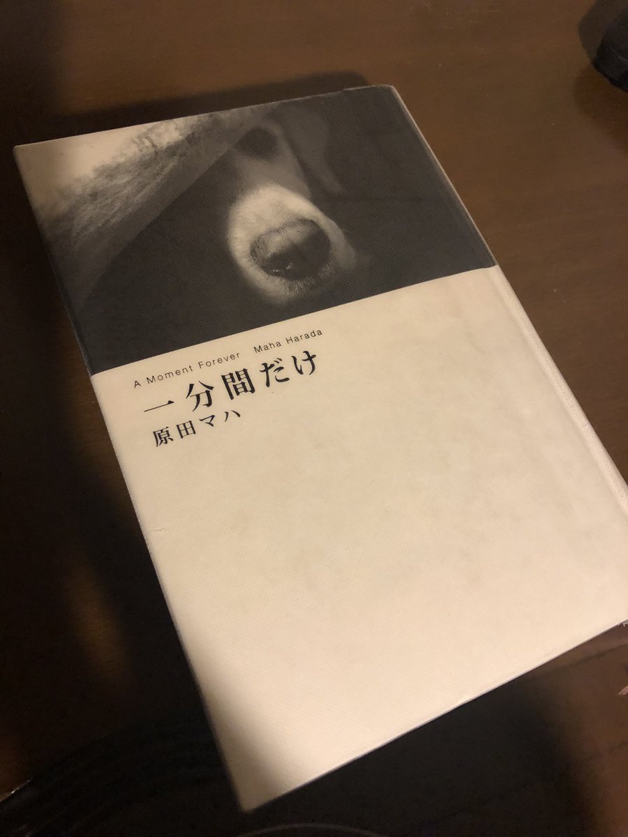 kikka220516's tweet photo. 大号泣
なんなら冒頭からうるうるしてました。
マハさんの本初めてです
めっちゃ良かったです
文章も詩のようにサラサラと読めまして、犬はとても愛らしくタクシーのおっちゃんはめっちゃいい人で、恋人も温かくそして切なく…

今夜はめっちゃ寝れそうです

原田マハ
一分間だけ
読了 https://t.co/tW54kZsDU7