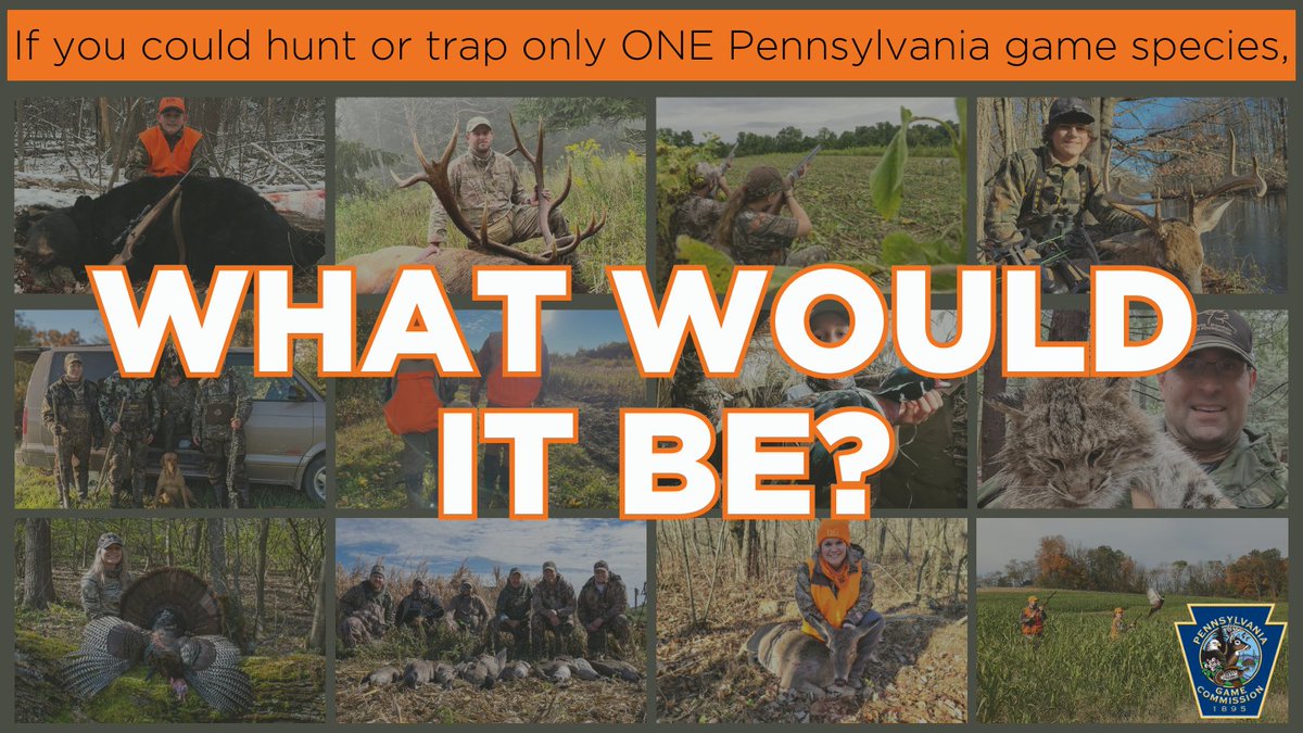 PAGameComm's tweet photo. Pennsylvania has 77 different species of wild game for hunters and trappers to pursue. If you had to choose just ONE to hunt or trap the rest of your life, what would it be? #pennsylvaniahunter #thanksforhunting https://t.co/D1YGrlQQm1