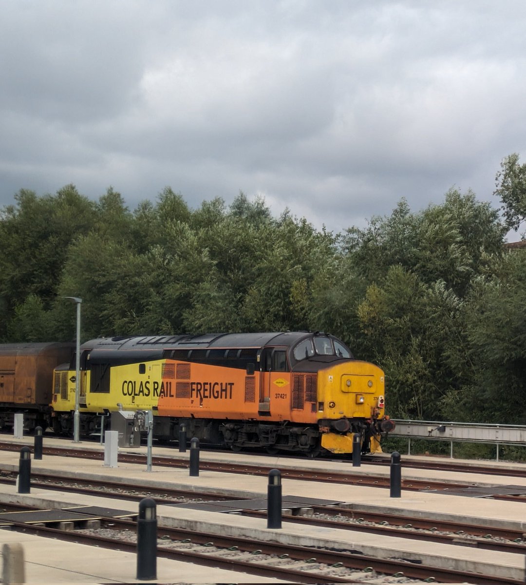 Bicester81 tweet media