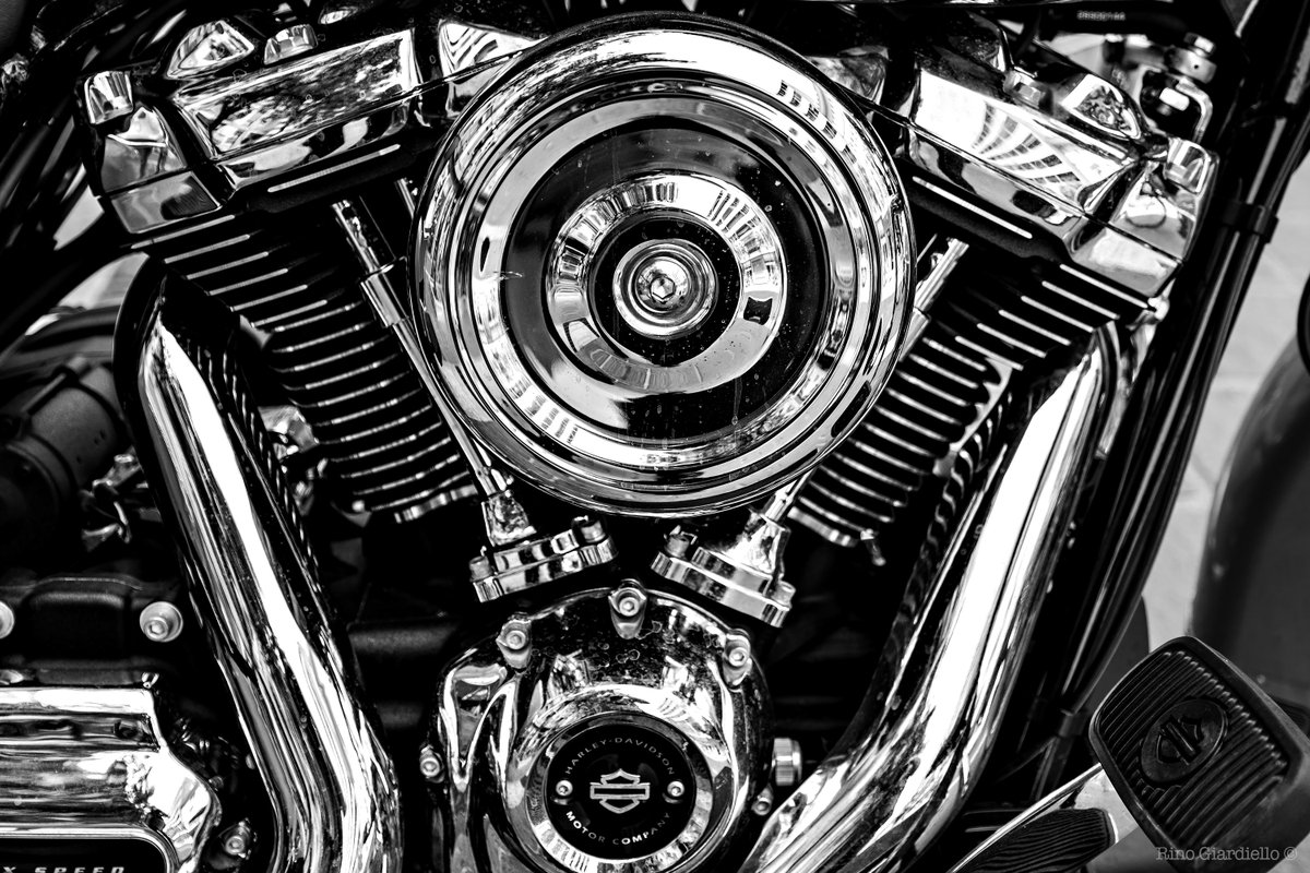 Rino Giardiello tweet media