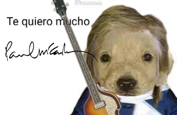 Iván tweet media