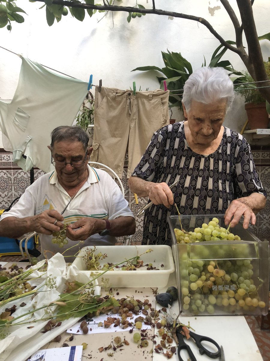 JuliaRayegoO6's tweet photo. Expurgando uvas 

Cuenta mi abuelo que cuando tenía unos 15 años (allá por los años 40), hubo gran producción de uvas en la zona

Mientras él (carpintero) se dedicaba a hacer las cajas, a las mujeres les hacían cantar mientras limpiaban los racimos para que no se las comieran https://t.co/ZyBQKtIc0F