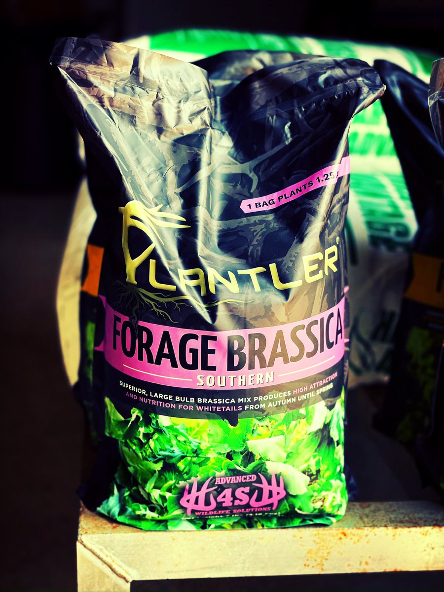 SHOWCASING TIME! So today I wanted to talk about the <a href="/AdvancedWildSol/">4SWildlife</a> FORAGE BRASSICA. This seed blend is a mix of cool season annual, large bulb, forage radish, turnip and hybrid rape. The deer will forage on the radish leaves as soon as they emerge.