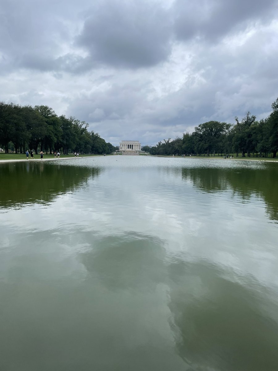 GiuliaTonon4's tweet photo. Washington ❤️ https://t.co/HJIEK8PGFF