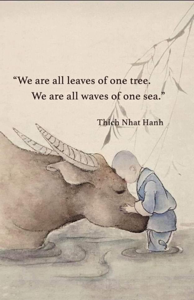 timelesssoul1's tweet photo. Kindness matters. Always one 
#JoyTrain #onewithall https://t.co/XBODLxa0zk