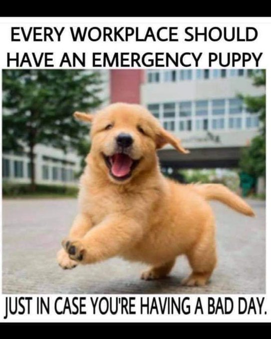 😂&hearts;️ it's true, though. https://t.co/JIvSYoTty1