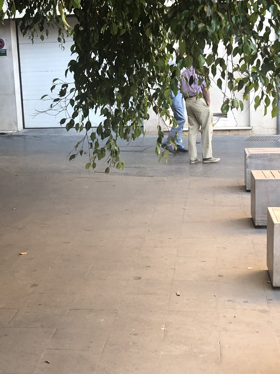 JoseMBretones's tweet photo. El #planbotania del @aytoalm se nos mete por los ojos. (Calle Conde Ofalia) https://t.co/jJygELyShW