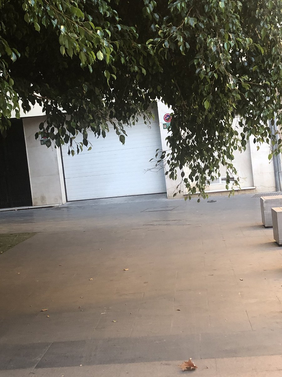 JoseMBretones's tweet photo. El #planbotania del @aytoalm se nos mete por los ojos. (Calle Conde Ofalia) https://t.co/jJygELyShW