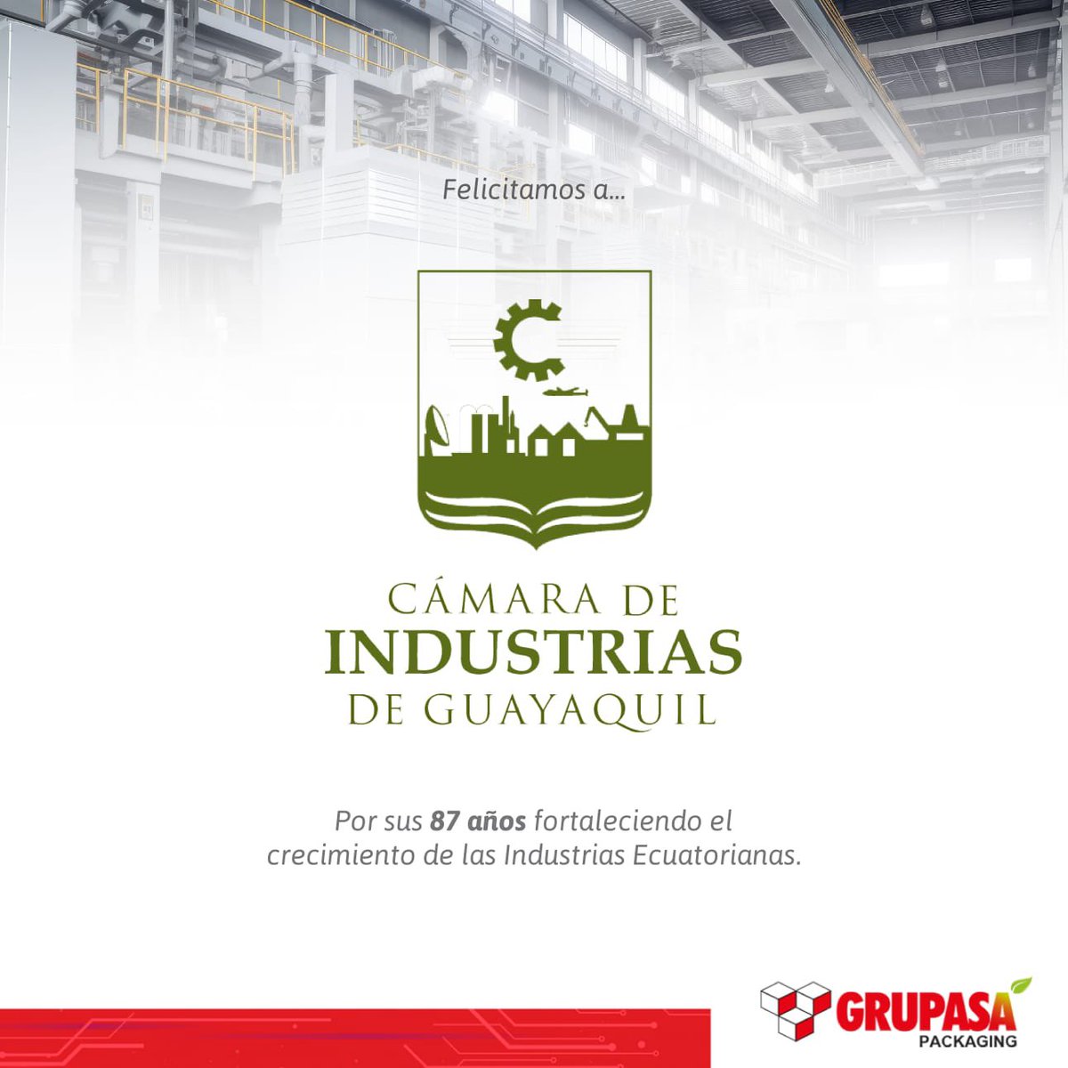 GrupasaGrupoPapelero tweet media