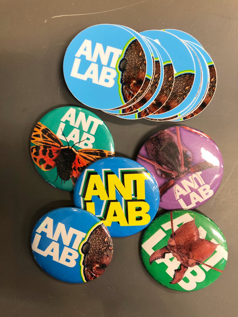 The lab will be open between 12-3 for BugFest on Sat, Sept 16th. Come by, say hi, and get some free buttons!