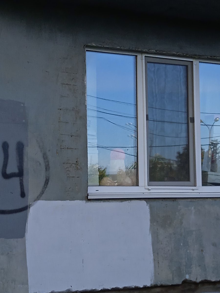 Прошу жизнь дать мне знак, пока искала квартиру
Знак свыше: