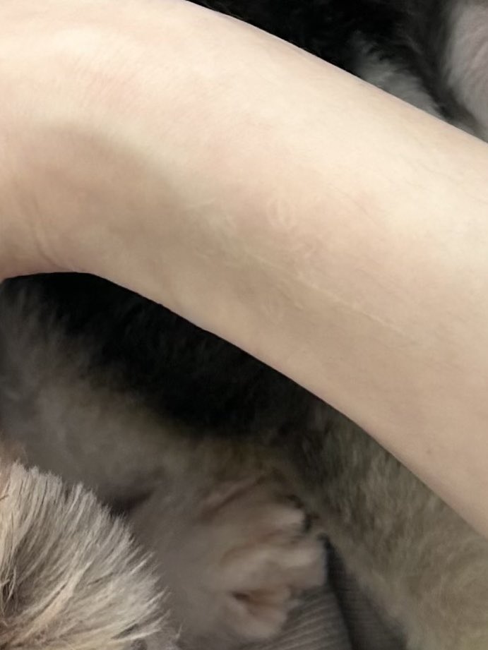 mamkasiara's tweet photo. อึนฮาหน่อมแน้มจังมึง​ อยากสักแต่กลัวแม่ด่า​ เลยสักแบบไม่มี​สี​ แม่ไม่รู้​ แฟนคลับก็ไม่รู้555555 https://t.co/4obAlN6MpU