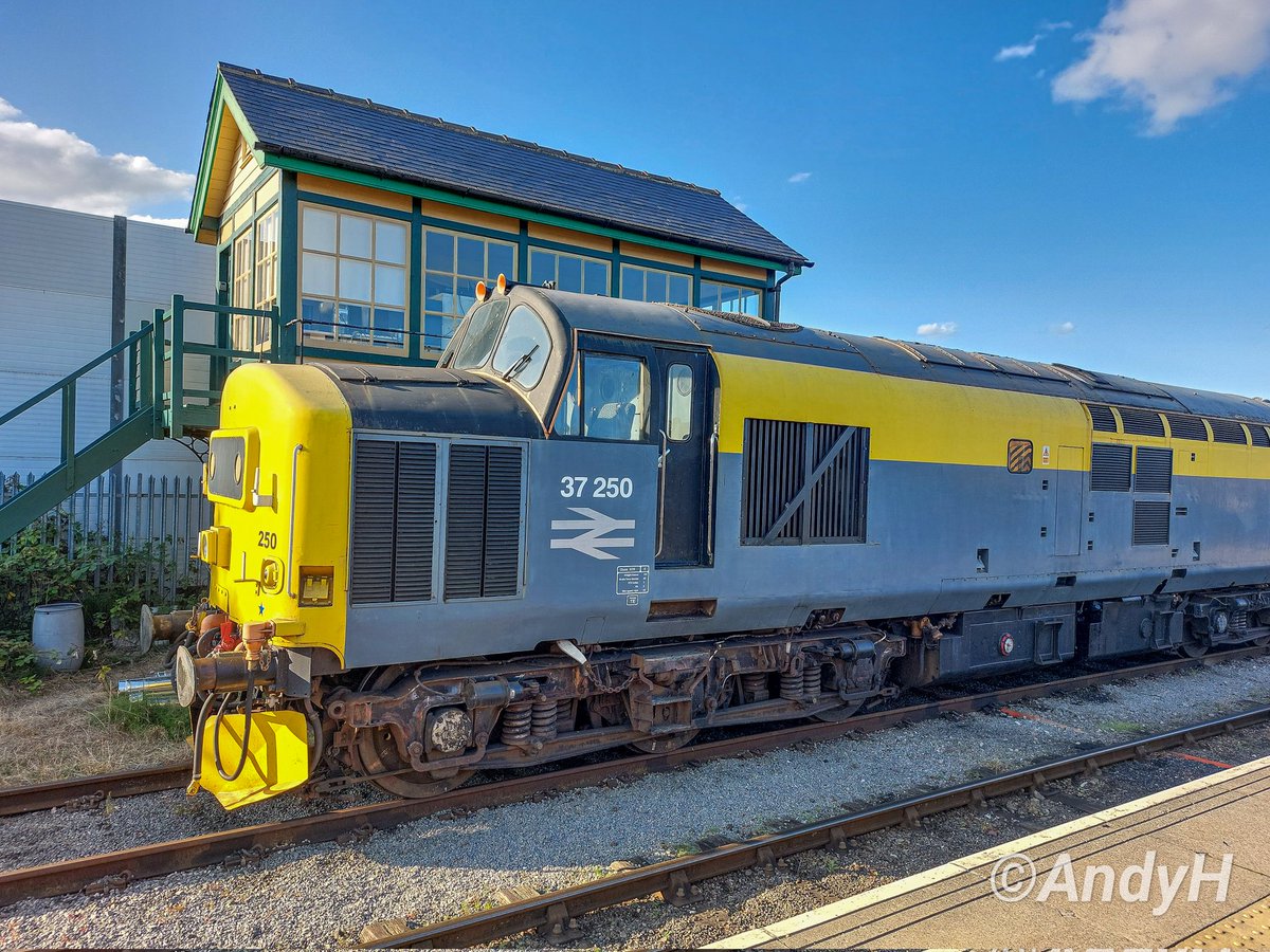 A late in the day #TractorTuesday and a quick visit to Leeming Bar station home of @WensleydaleRail. A fantastic looking 37250 basks in the evening sun in front of the signal box. Tricky to get a pic due to position of the sun/loco. #Dutch #Class37 #Tractor #Ploughs