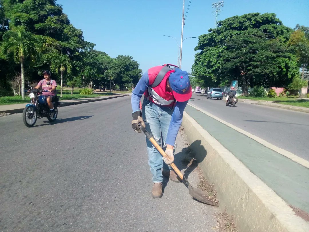 Instit12Febrero's tweet photo. #29Ago Continúan mantenimiento de isla central en la Av. Francisco de Miranda a la altura del Picolo. Municipio José Félix Ribas la #Victoria #Aragua
#RibasvuelveASonreir
#GobernamosParaServir https://t.co/f6x3f86zUY