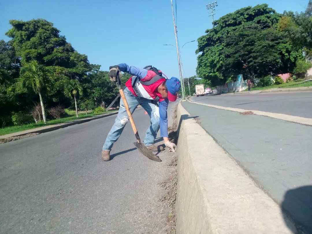 Instit12Febrero's tweet photo. #29Ago Continúan mantenimiento de isla central en la Av. Francisco de Miranda a la altura del Picolo. Municipio José Félix Ribas la #Victoria #Aragua
#RibasvuelveASonreir
#GobernamosParaServir https://t.co/f6x3f86zUY