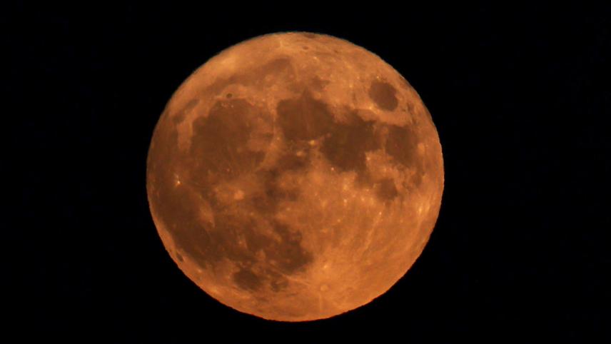 🌕✨ FLASH | Une « super #Lune bleue » aura lieu dans la nuit de mercredi à jeudi. Elle ne sera pas bleue, mais bien pleine pour la 2e fois du même mois, et au plus proche de la Terre. 

La prochaine aura lieu en 2037, alors profitez-en ! 🌝