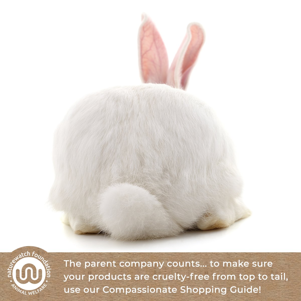 Naturewatch_org's tweet photo. If you're buying cosmetics, personal care or cleaning products, you won't want your money to fund animal testing.
Our #CompassionateShoppingGuide considers the parent company so you can be sure your shopping is #CrueltyFreeTopToTail. 🐇
Browse the guide:
https://t.co/ViylOW9Vkr https://t.co/NwseriLaJR