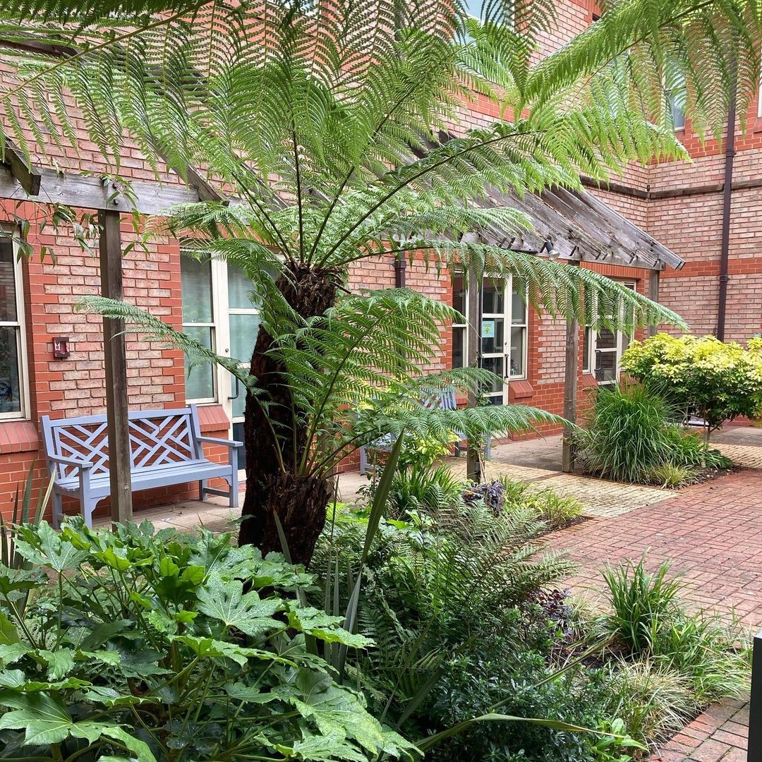 Sam Proctor from Chiltern Garden Design's design for Amersham Hospital! Shades of green &amp; textured foliage create a restful escape from the pressures of the ward for NHS staff. Wonderful project 💚Join Sam at LANDSCAPE 2023! Taking part in a @LCGardenDesign panel discussion!