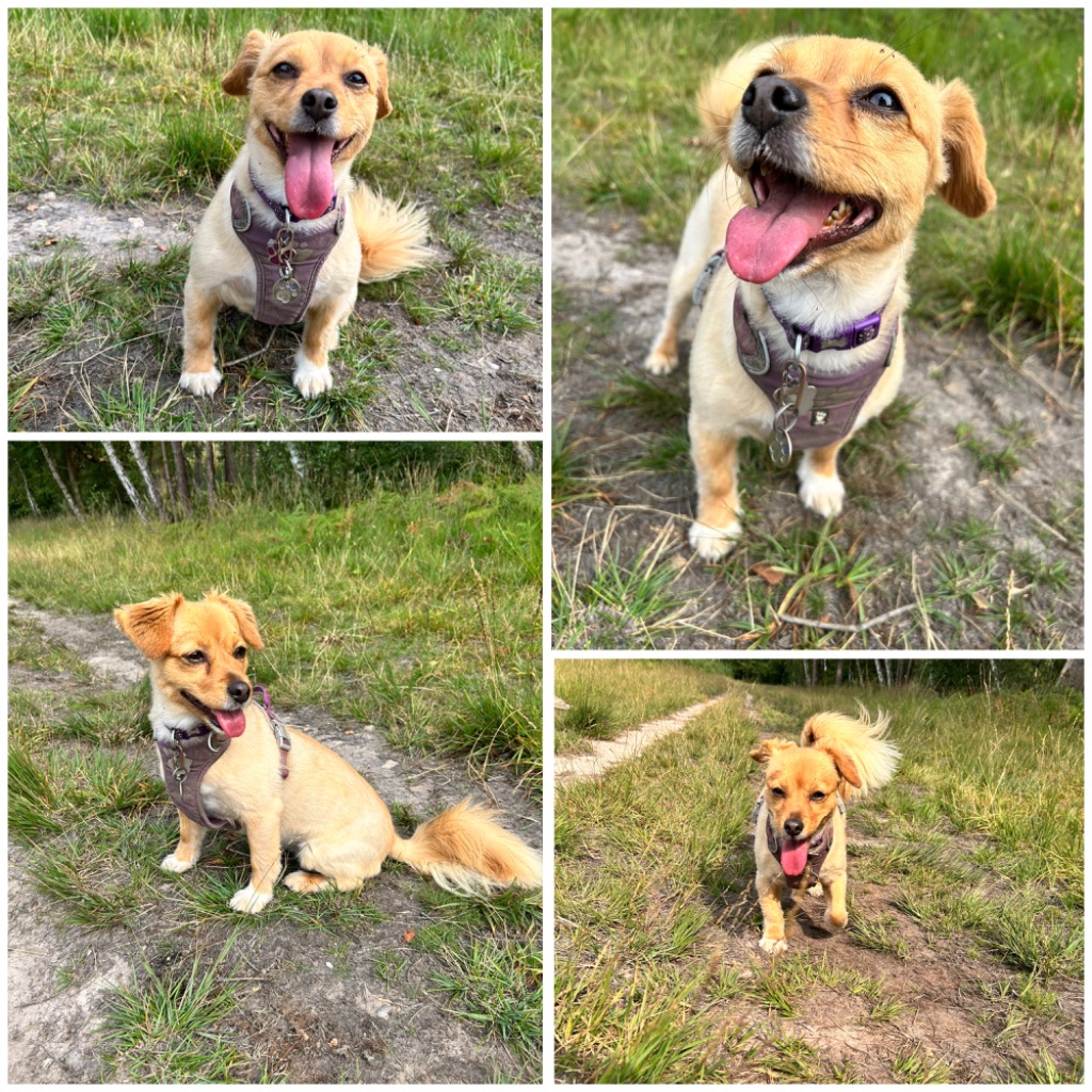 Amy here. Mum said it was a Tuesday. So here it is, Tongue out Tuesday 😜😛😝