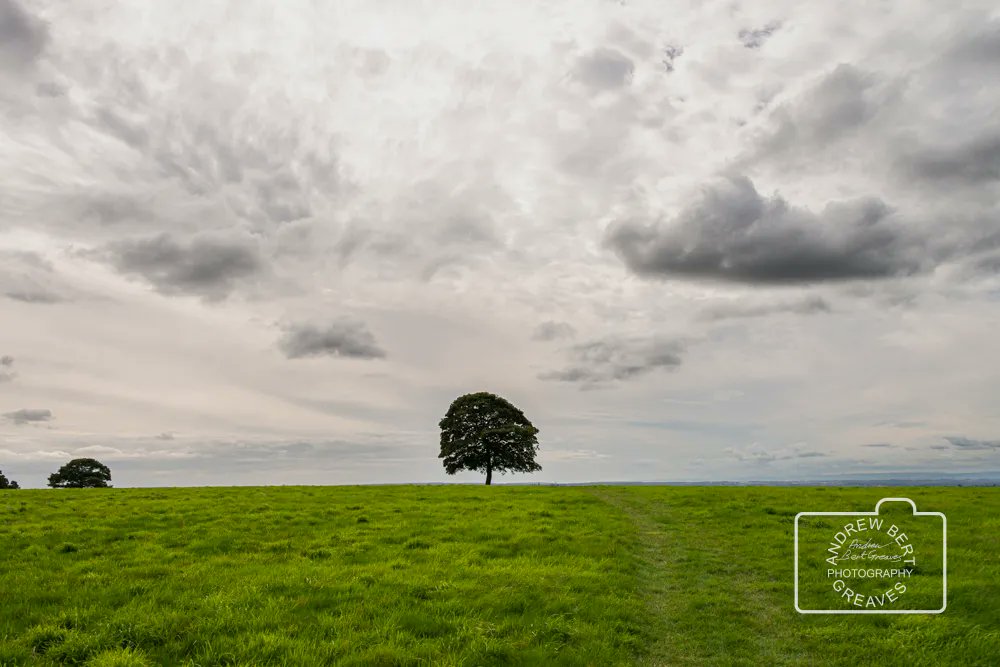 ABGreavesphoto's tweet photo. Gloucestershire , 2023
#TreeTuesday #TuesdayTree #tree #Nikon #trees #naturalworld #nature #treephotography #landscape #Gloucestershire #naturephotography #landscapephotography #treesareawesome #Gloucestershirelandscape #photography #art #visualart #england https://t.co/Qcz82AjpSU