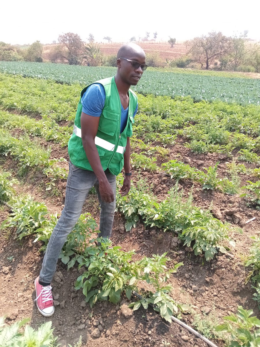 Weekend duty 
Farming in DNA