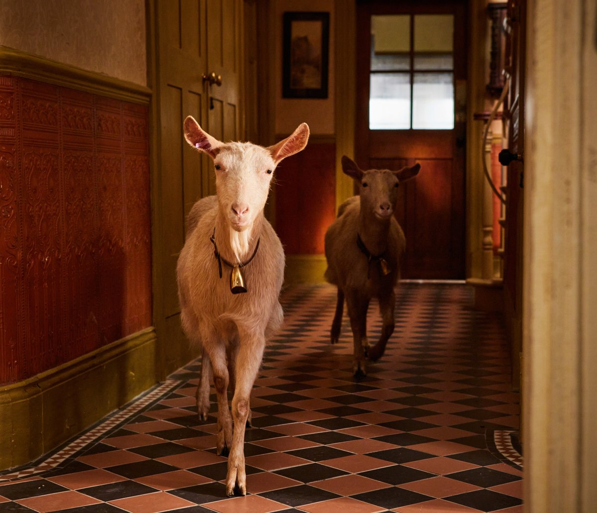 Channel 5 tweet media