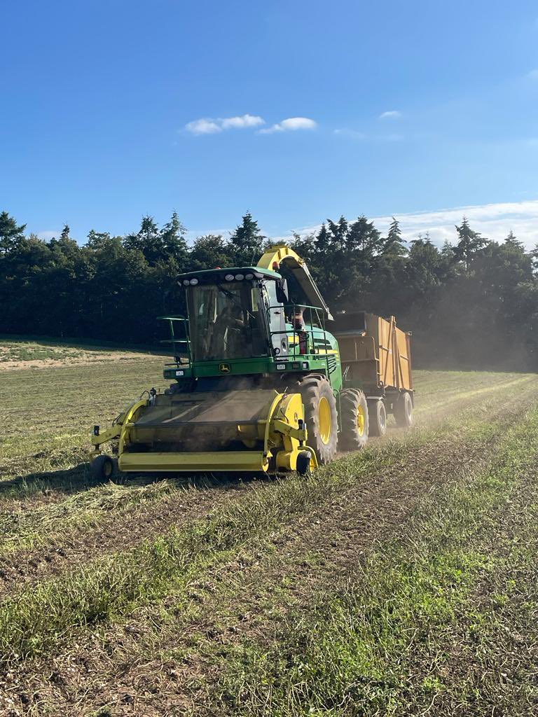 Our #peppermint harvest has been later than usual this year but much to Ian &amp; the farm team’s relief, it’s done! The #mint has been either dried or distilled depending on which products it’s destined for - dried leaf for tea, &amp; oil for our chocolates and body, bath &amp; home treats.