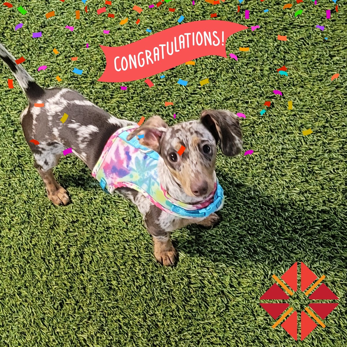 Cityfront Place tweet media