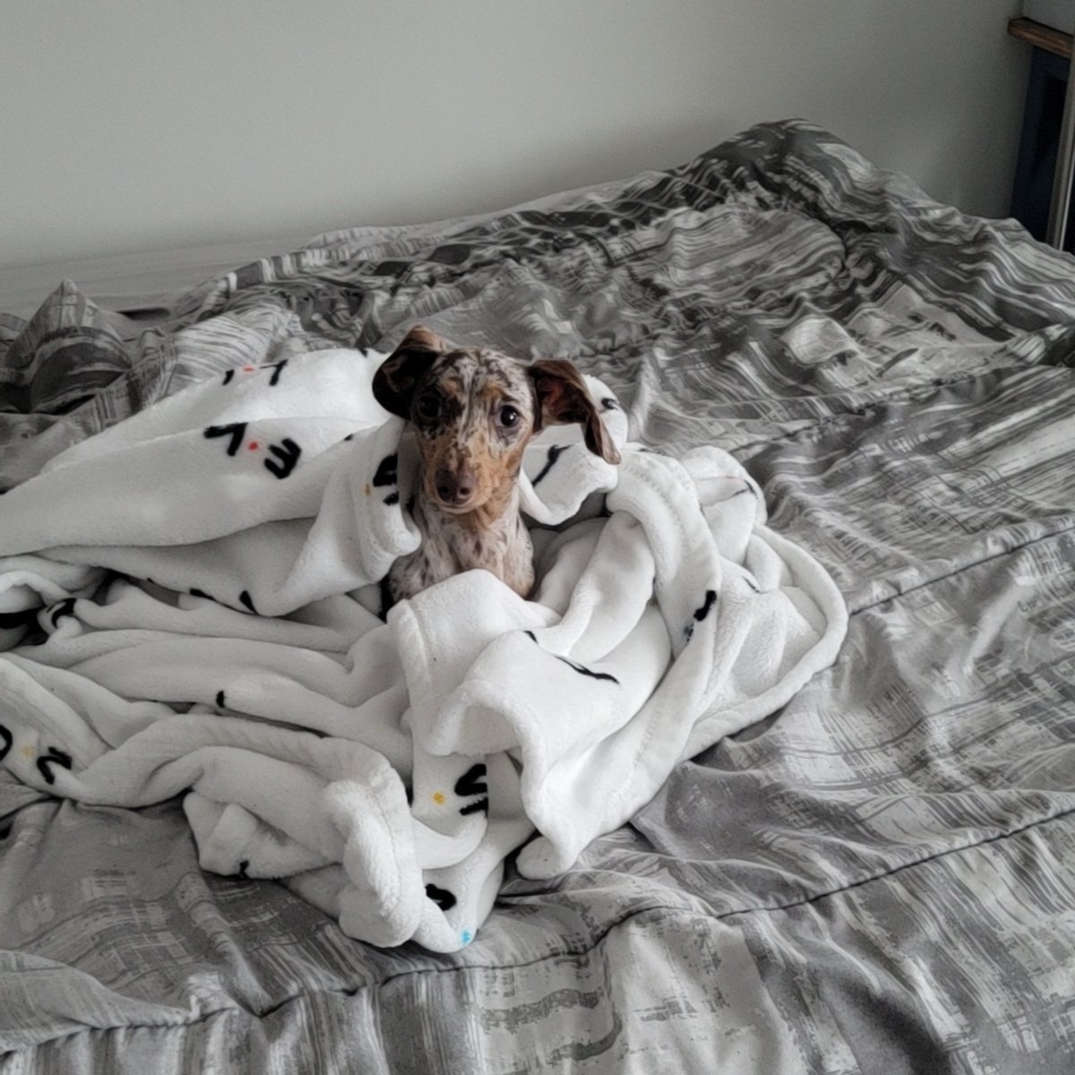 Cityfront Place tweet media