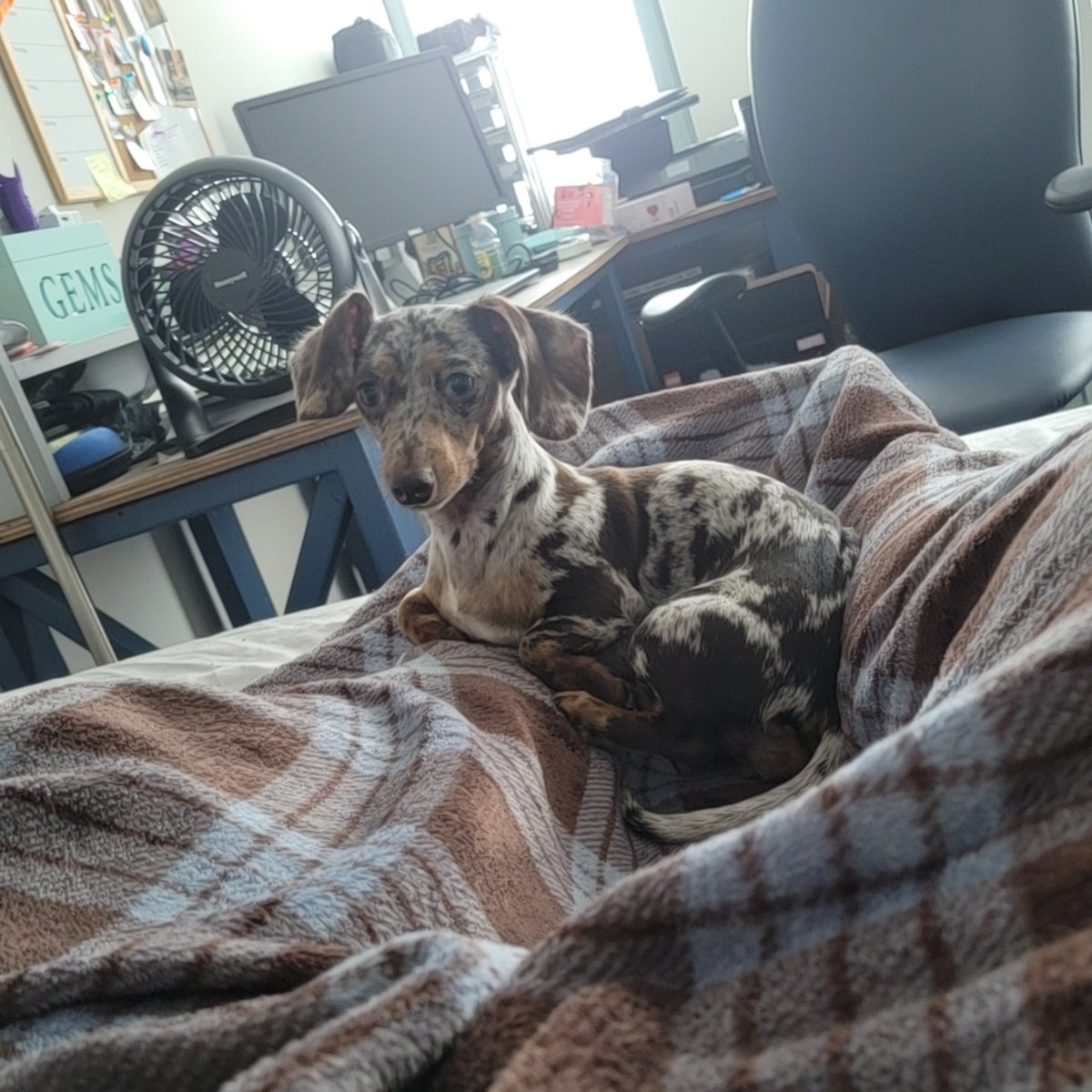 Cityfront Place tweet media