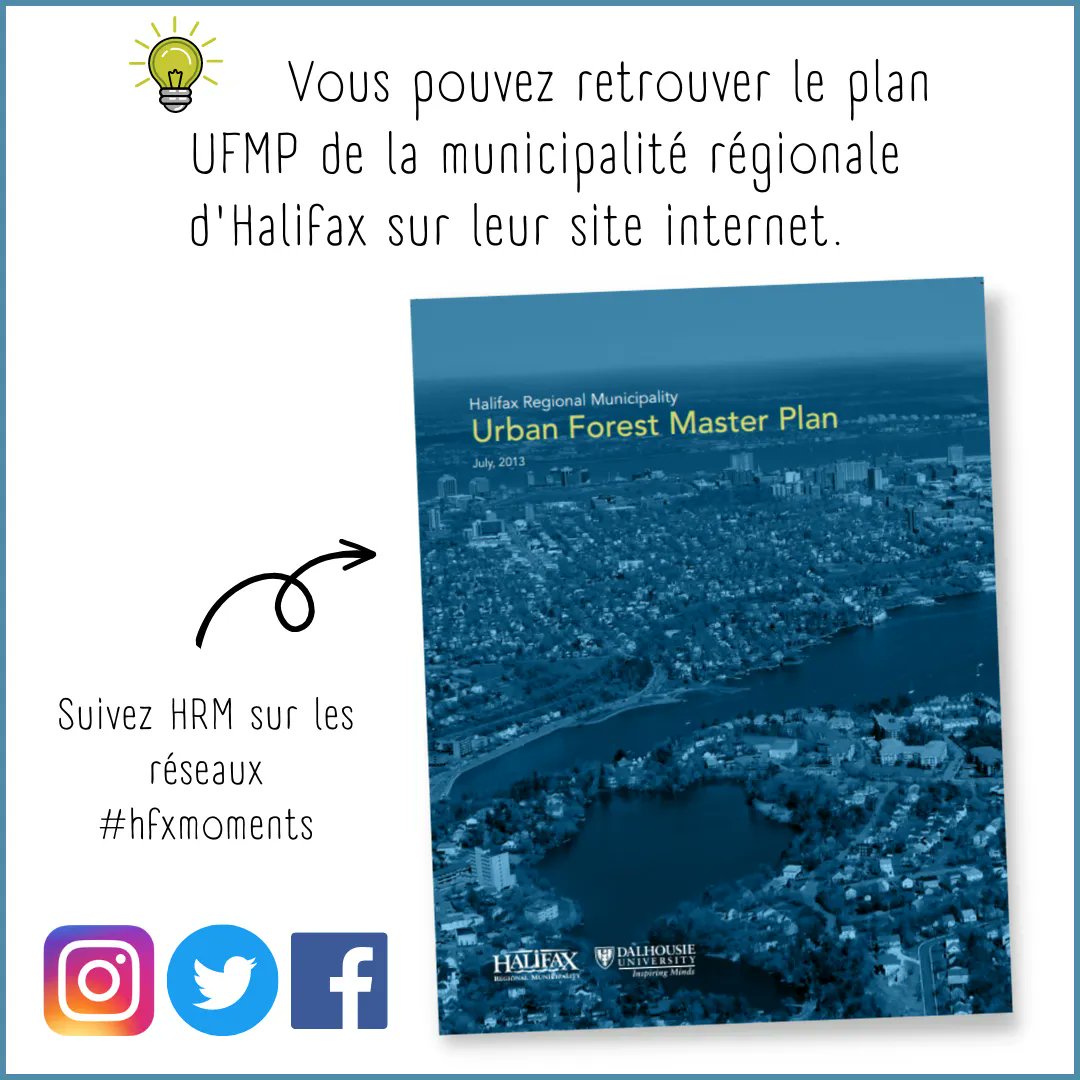 🌿 Saviez-vous que la municipalité régionale d’#Halifax <a href="/hfxgov/">hfxgov</a> a organisé une distribution de 1 200 #arbres en août ? La ville d’Halifax a rejoint le club des “Tree City of the World” pour la quatrième année consécutive ! #TreeCitiesofthWorld #novascotia #fao #arbordayfoundation